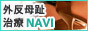 �O�����䎡��NAVI